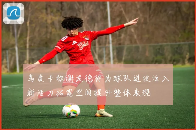乌度卡称谢泼德将为球队进攻注入新活力拓宽空间提升整体表现