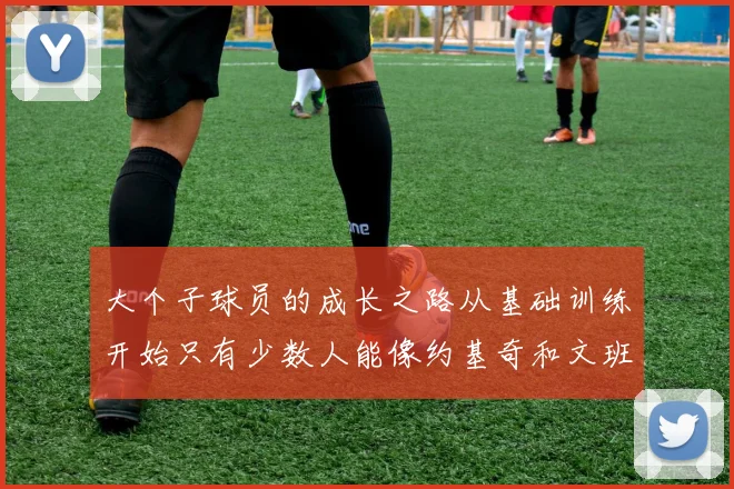大个子球员的成长之路从基础训练开始只有少数人能像约基奇和文班那样成功